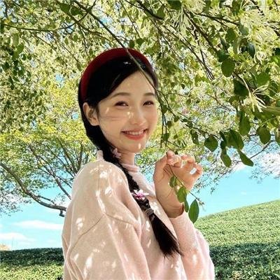 玫瑰